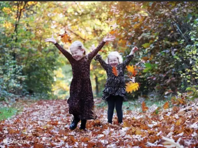 Zomer, winter, herfst, lente, er is altijd wat te beleven. Elk seizoen heeft z'n charme.